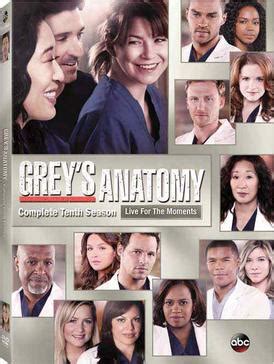 grey's anatomy season 10 bdscr|Grey's Anatomy season 10 .